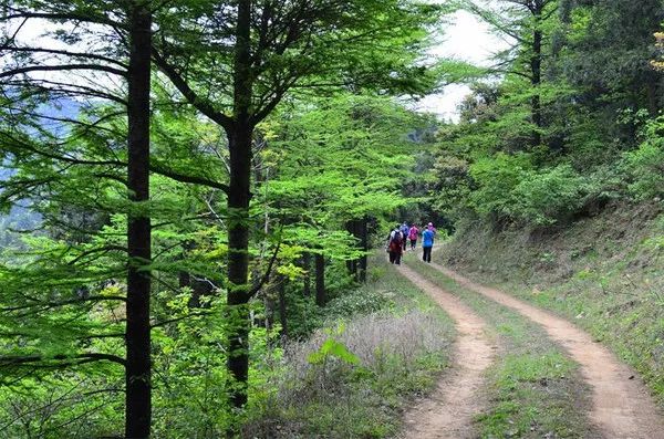 這裡不亞於徽行古道的國際登山步道,卻偏偏只有老外和當地人才會常常