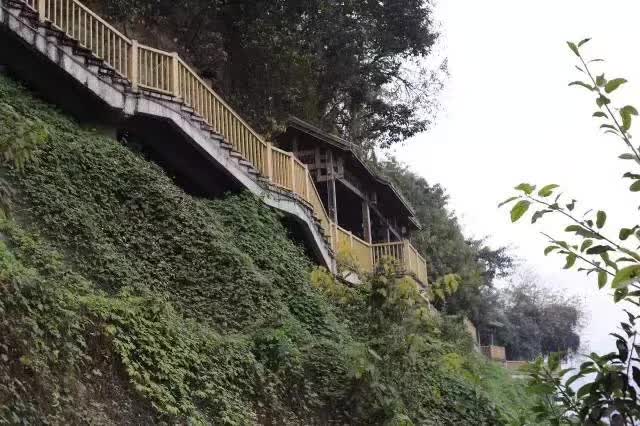 重慶步道之山城步道,腳步聲中收藏童年