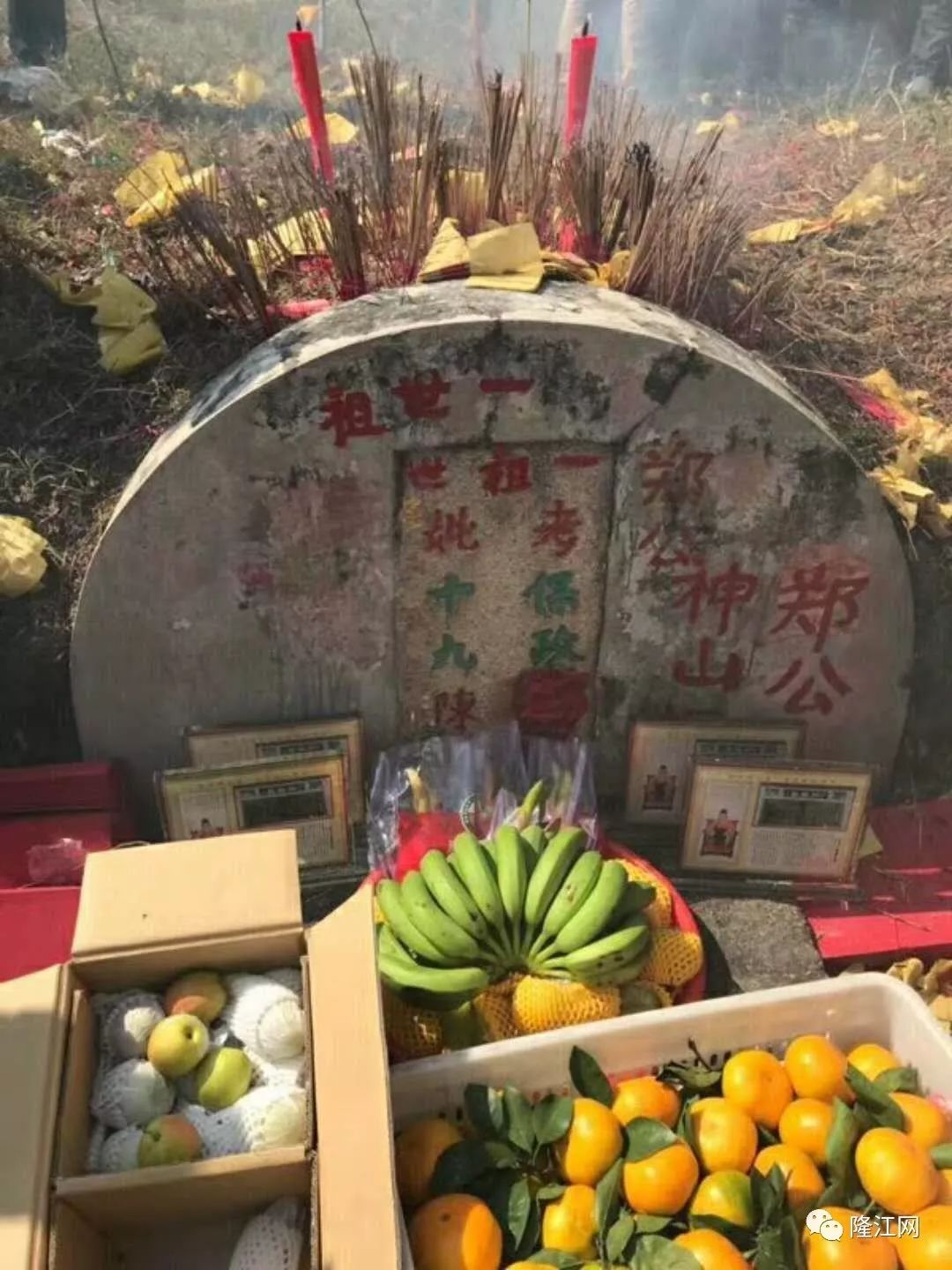 神山郑氏祖墓图片