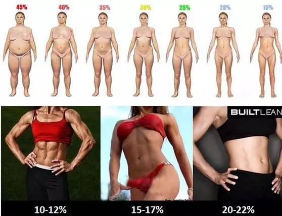 衡量你是否该减肥的三个标准 体脂率 Bmi和腰臀比可自测