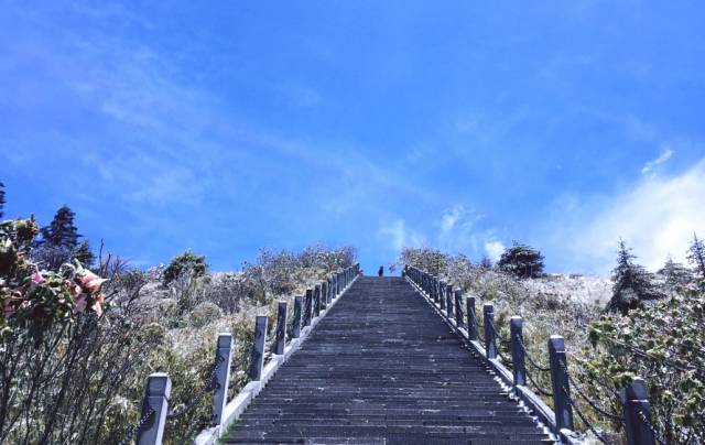 重阳节登高望远,神农顶伸手可摘星辰