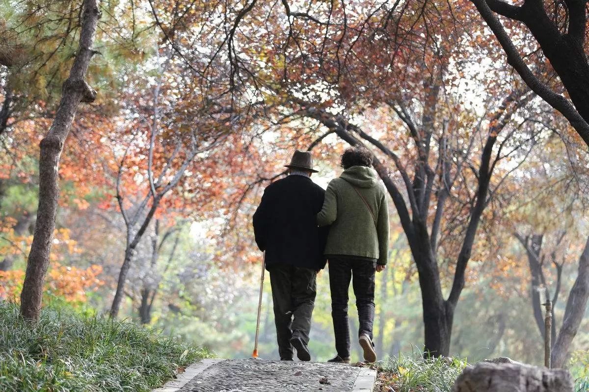 恩爱老夫妻图片唯美图片