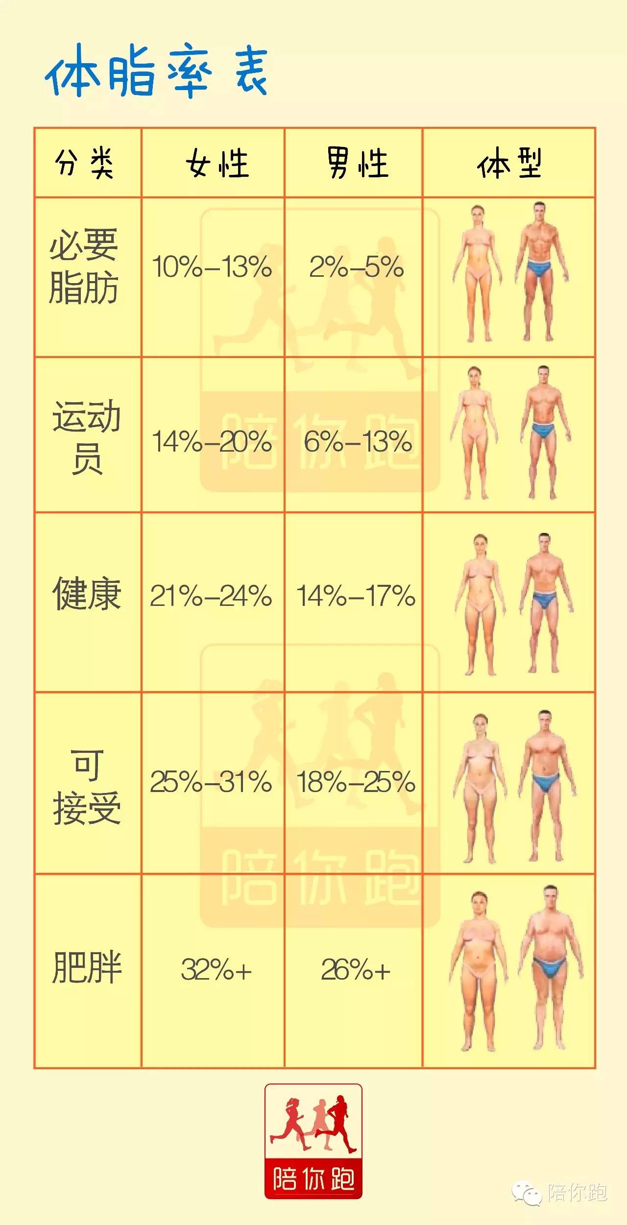 女性体脂率图片对比表图片