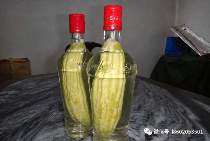 苦瓜可以做酒吗 苦瓜酒有什么功效