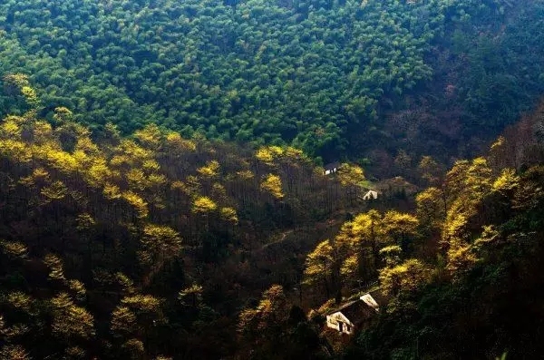 富阳龙门山森林公园图片