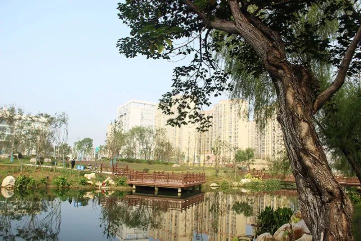 临泉华安城公园里图片
