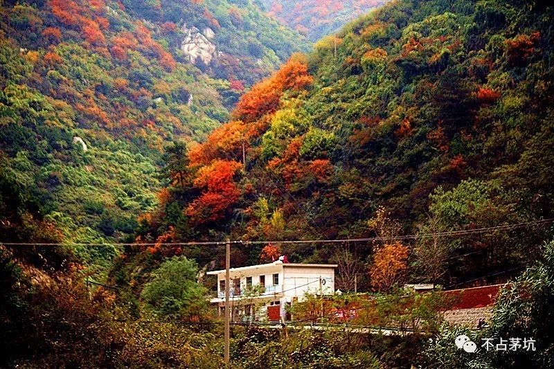 上湯峪水庫的大壩就是進了湯峪湖森林公園.