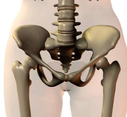 女性盆腔由骨盆和盆底肌组成,骨盆是由髂骨,骶骨,尾骨,趾骨,坐骨组成