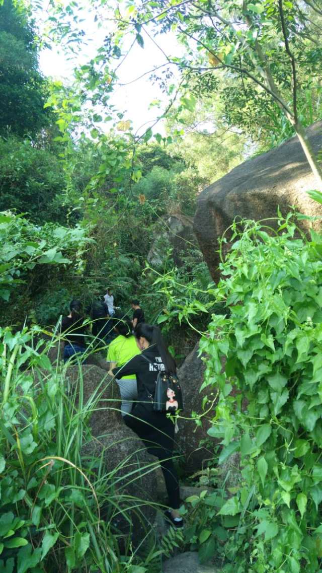 活动回顾丨金秋登山首站--龙泉岩一游!