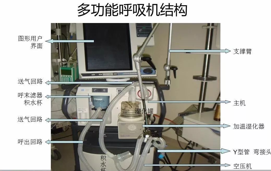 呼吸机回路安装图图片