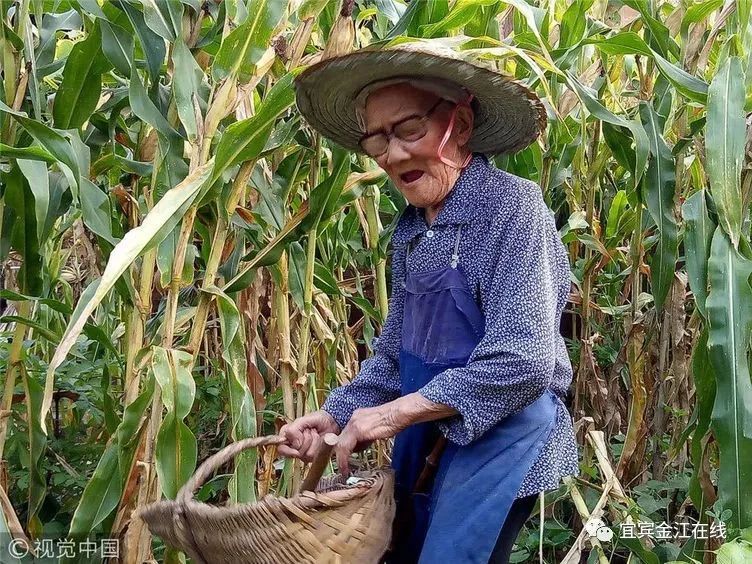 【身邊事】宜賓縣104歲老人能種瓜,刨地,掰包穀,高興時還要吼山歌!