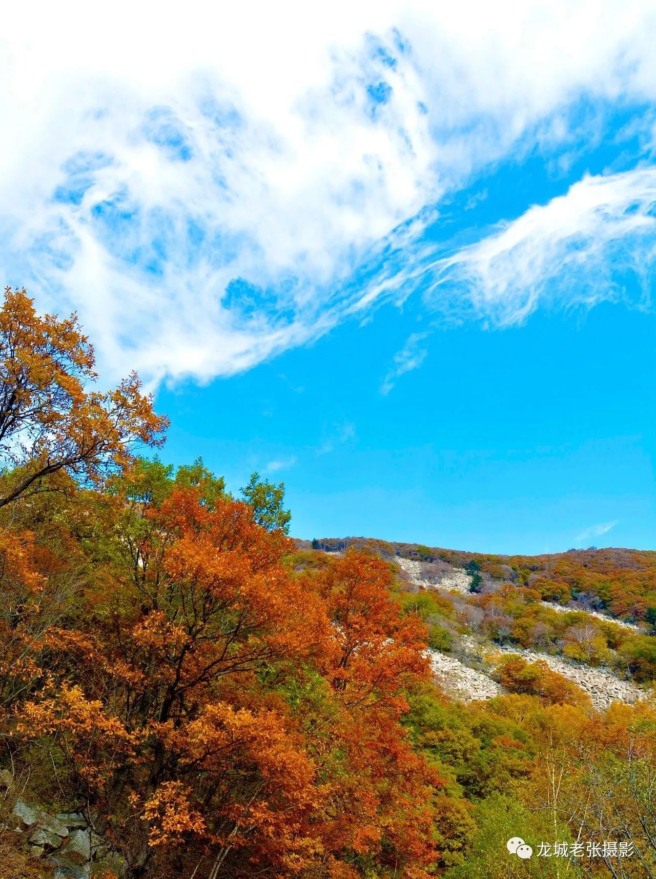 【美景】都山,看过这里的秋色,才明白什么是秋天的童话