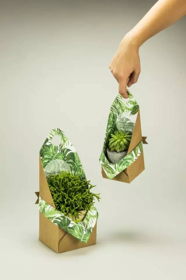【环保】大饱眼福啦,绿色包装设计欣赏!