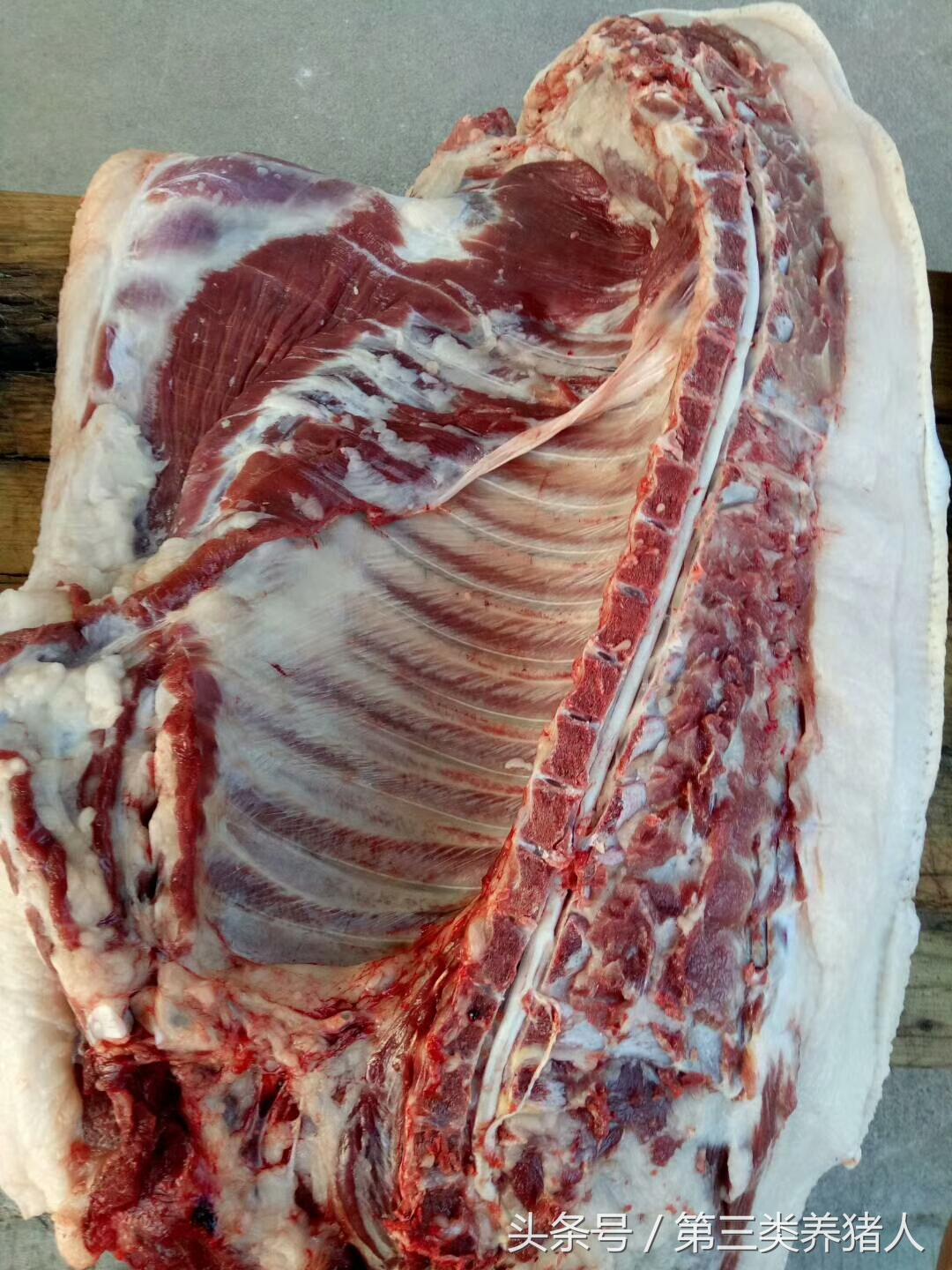 这才是真正的土猪肉,肉色深红,30元一斤