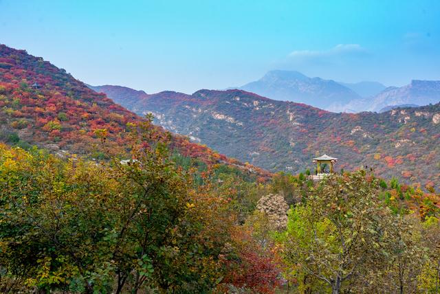 美景如畫 房山坡峰嶺賞紅葉