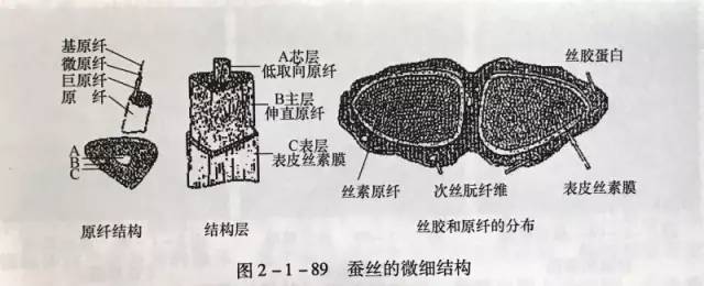 蚕丝纤维截面图片