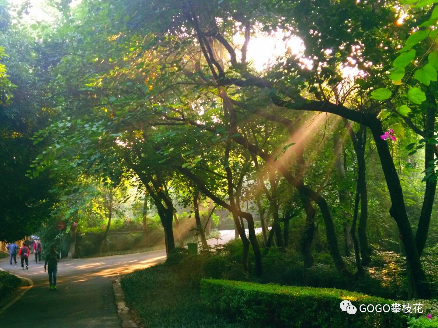 親自體驗攀枝花公園九點鐘的陽光是什麼樣的