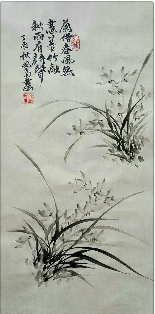 芹溪兰草图存在吗图片