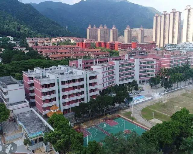 近年来,清新区各中小学的颜值不断提升,区四小,凤霞中学进行了外墙