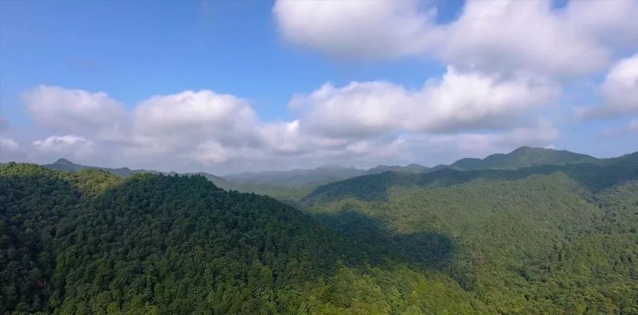 九連山位於南嶺山脈贛粵邊境的龍南縣境內,總面積2130公頃,因環繞贛粵