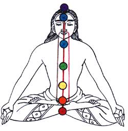 按照传统瑜伽学来说,人体分左右二脉,左脉代表静力,右脉代表活力.