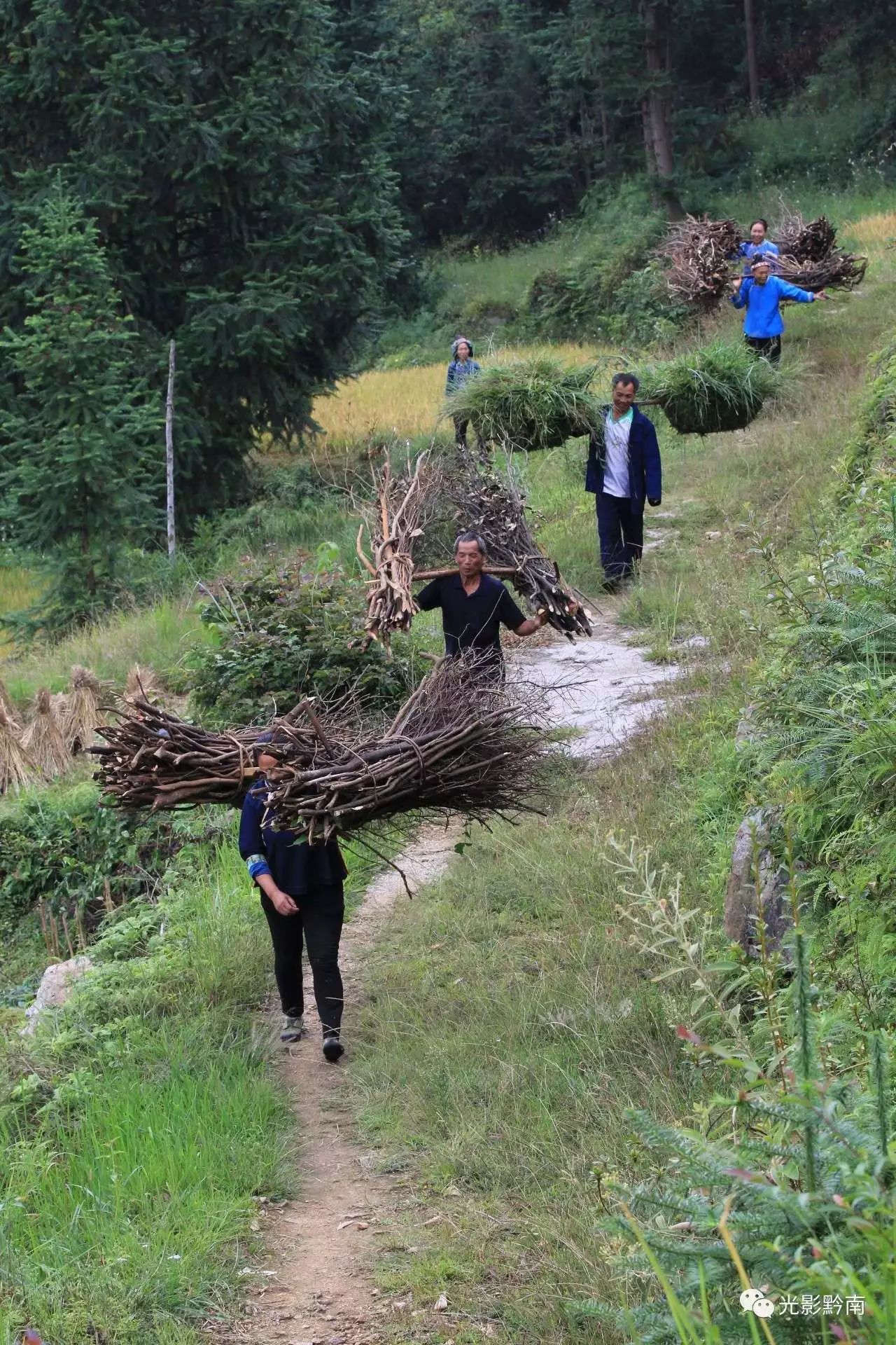 上山打柴归来 李宗顺 摄9月的毛栗寨,一路上都是挑担的人,他们挑柴草