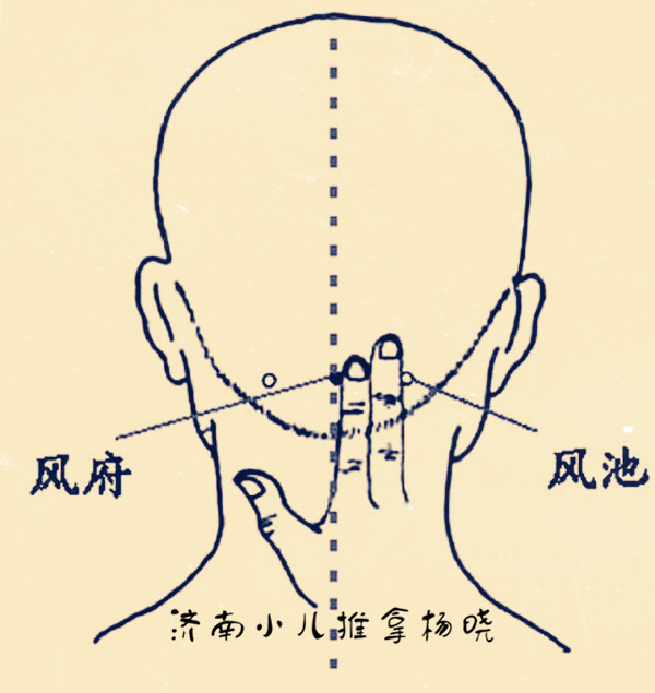 风池的准确位置图图解图片