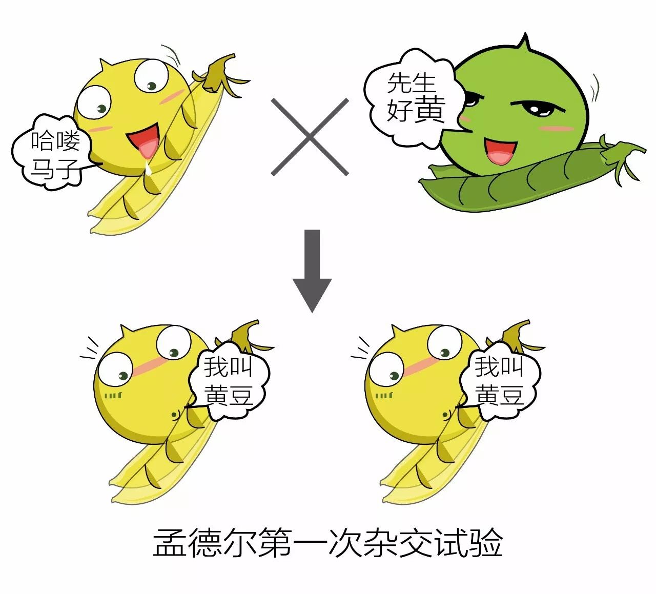 生物遗传学表情包图片