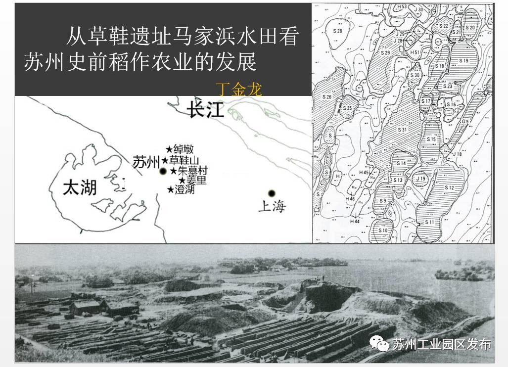 草鞋山遗址崛起文化新地标!因为它,园区长大6000岁