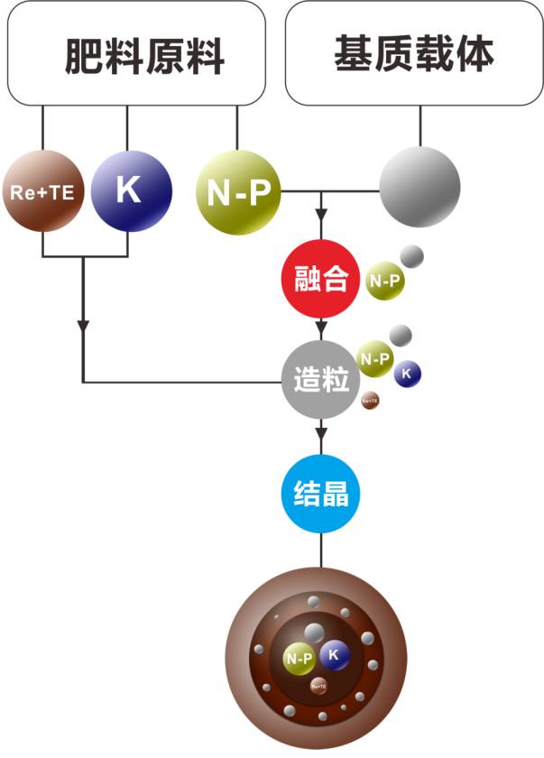 分離出去形成易吸收的硝酸鈣和硝酸銨鈣,再通入二氧化碳作為冷卻劑,又