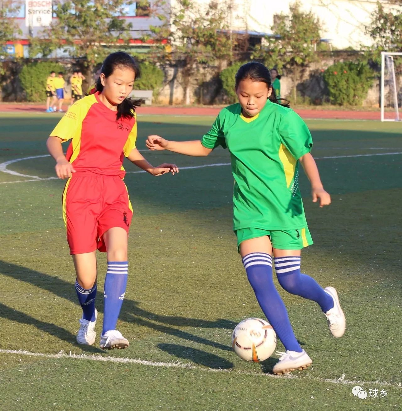 小学生女足冠军图片