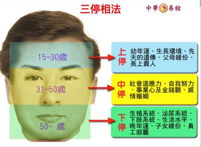 苏民峰面相流年图图片