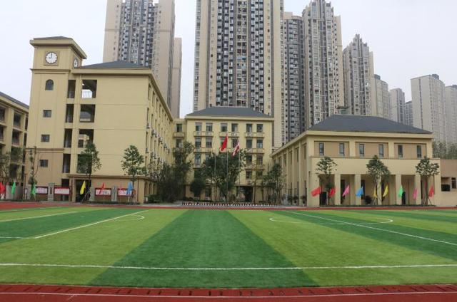 北大附中重庆实验学校(北大附中重庆实验学校 富二代)