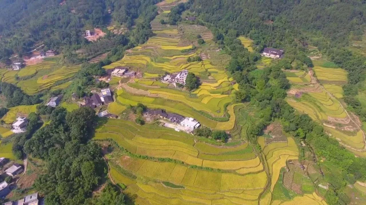 茂名信宜贵子镇图片