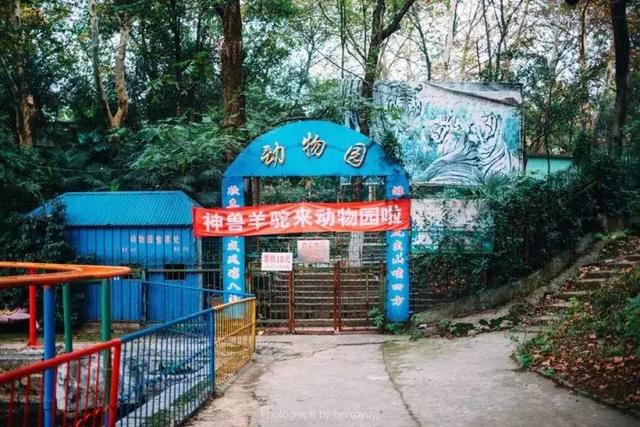 九江动物园图片