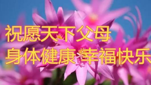 祝福父母的图片带字图片