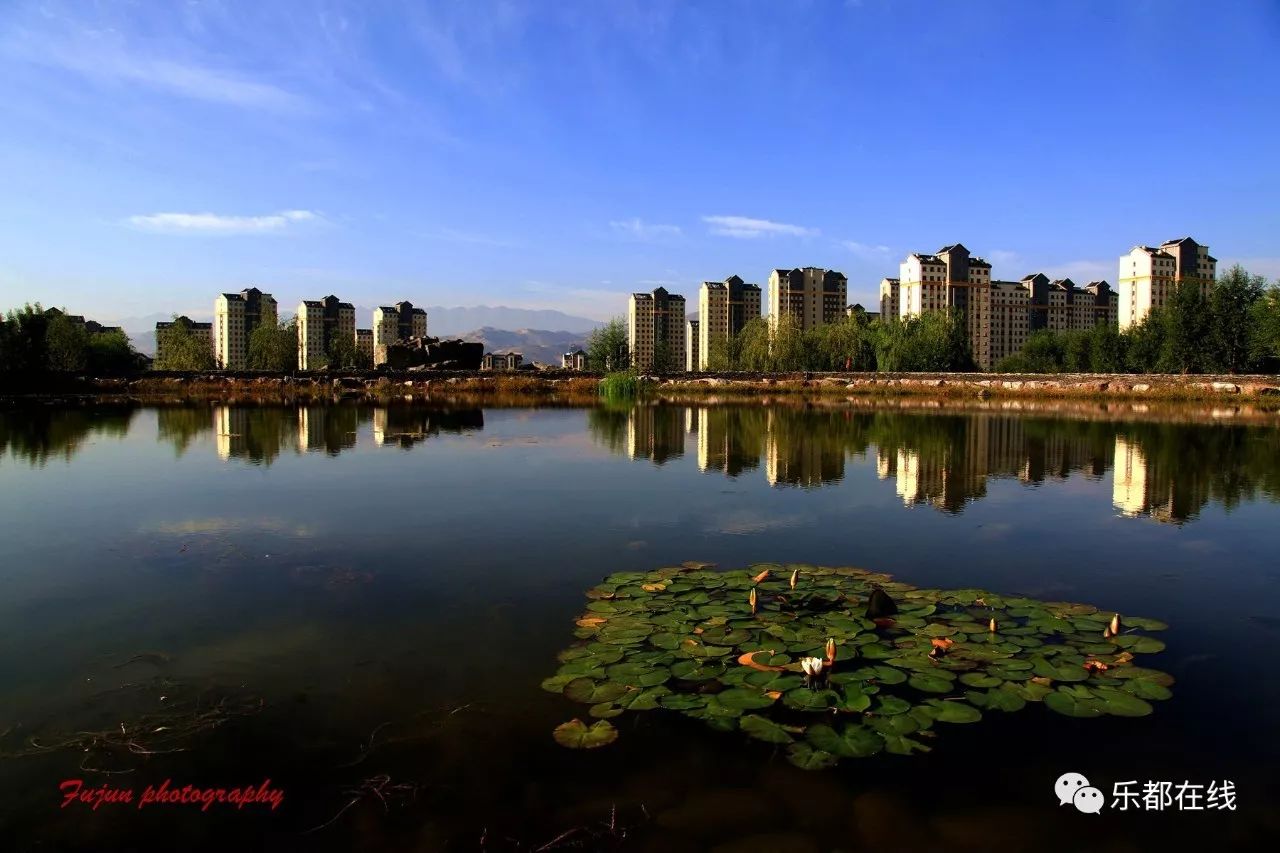 今日重阳丨乐都这几个人少景美的地方简直美醉了!最宜踏秋快来围观!