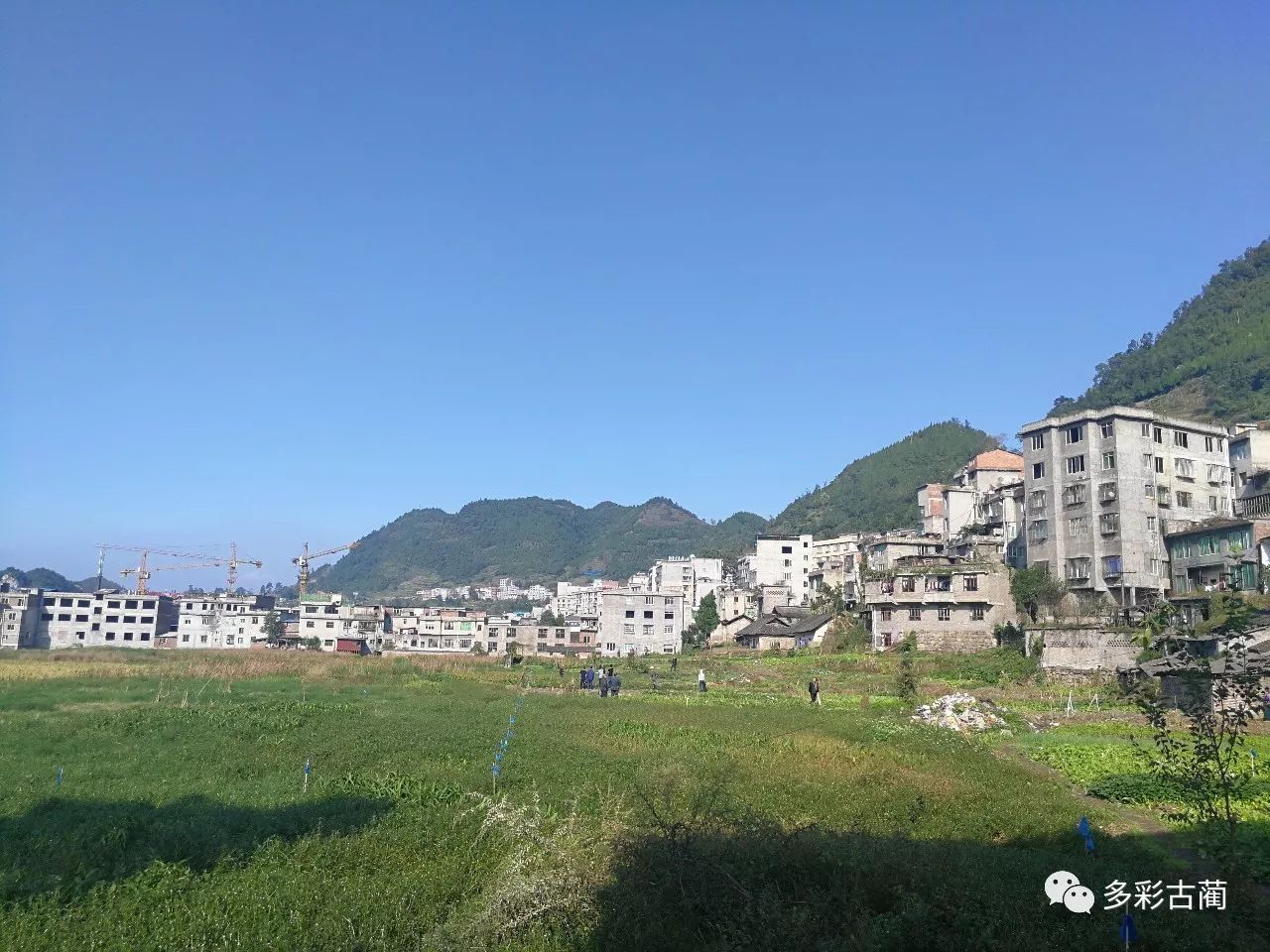 古蔺县大村镇苏坝村图片
