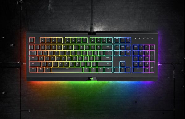 键盘加入两位新成员—razer cynosa chroma萨诺狼蛛幻彩版以及razer