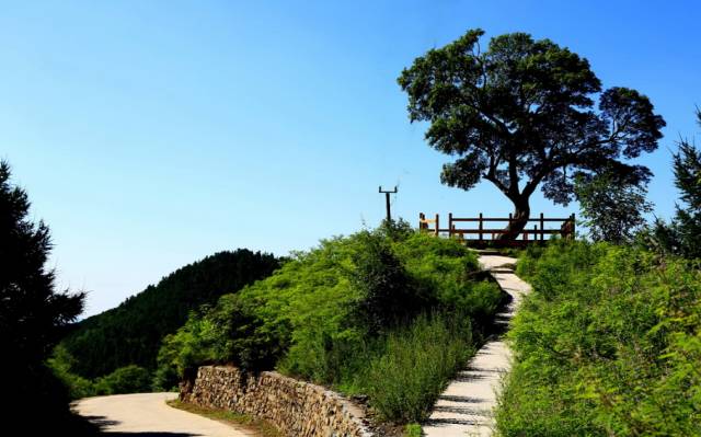 蒲洼乡共有8个行政村 鱼斗泉,芦子水,东村,宝水村 蒲洼村,富合村,森