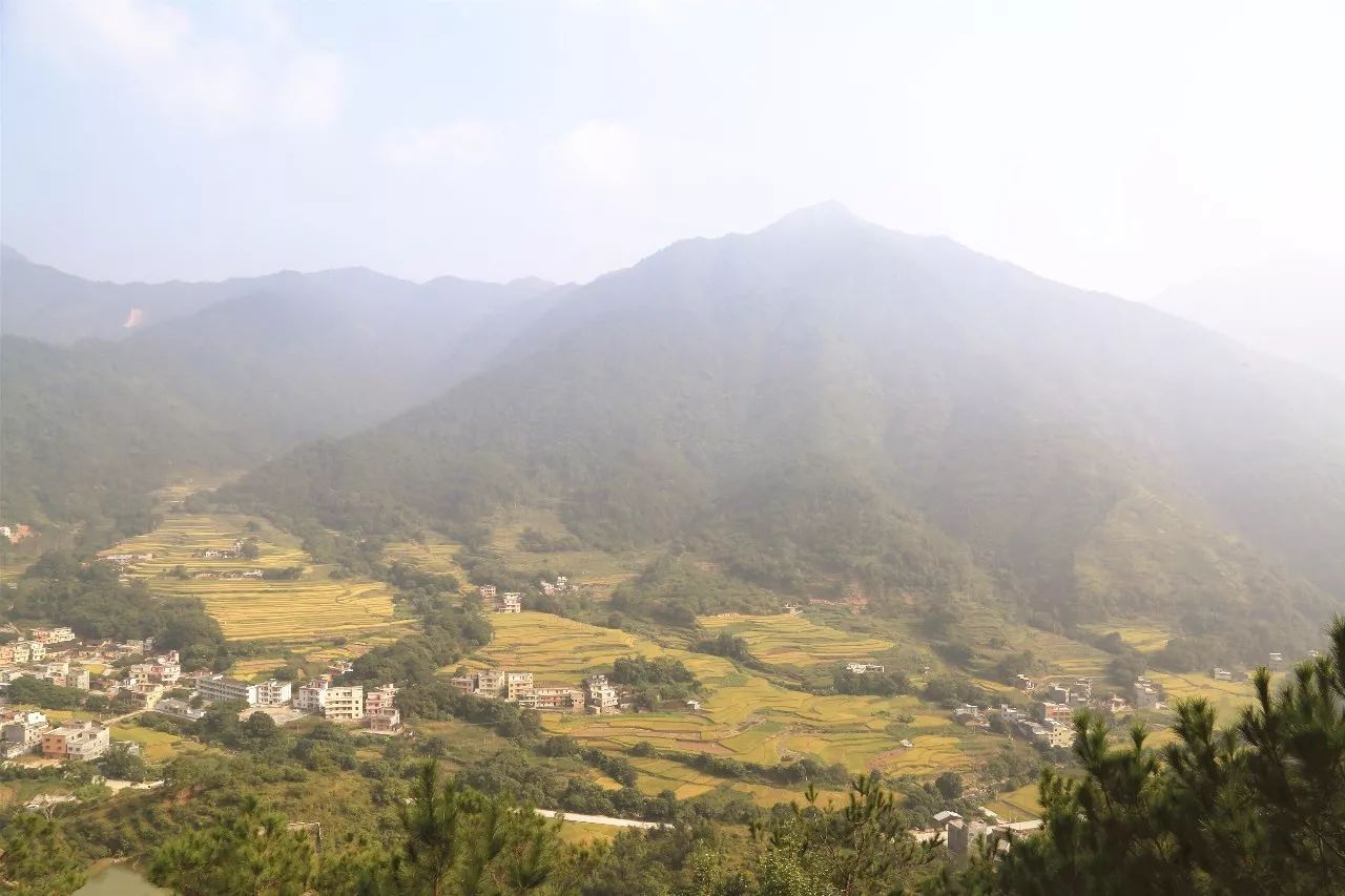 茂名信宜贵子镇图片