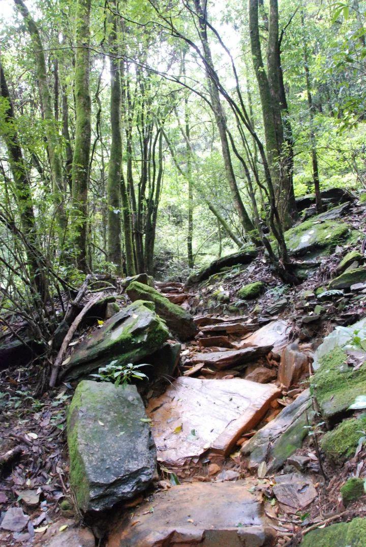 滇西哀牢山红宝石(云南中部的哀牢山北段)