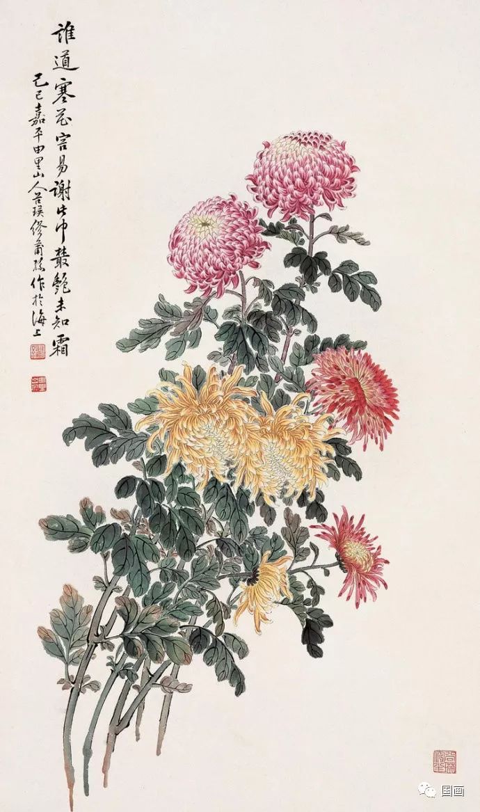 国画菊花图片(国画菊花图片大全大图画)