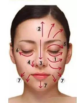 面部皮纹走向图片