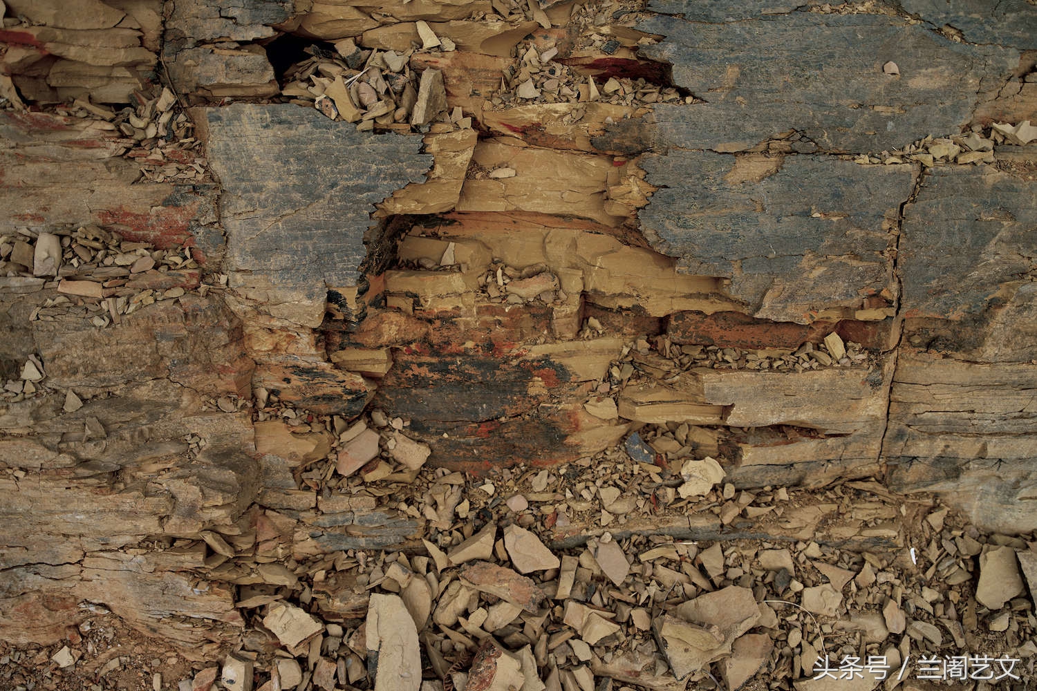 20世纪最惊人的科学发现之一澄江化石遗址距今已有53亿年