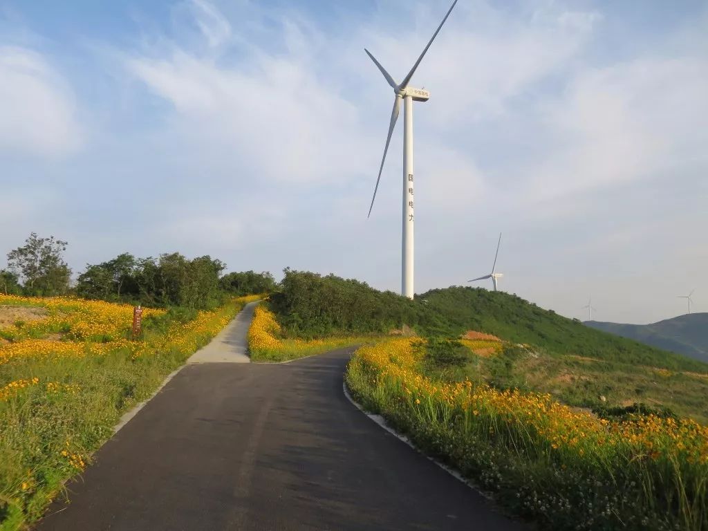 宁波风车公路上大风车在吱呀吱悠悠地转,跟快乐的小伙伴去玩一玩