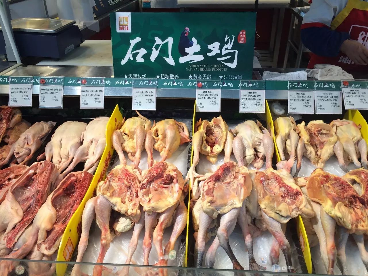 苏州港龙乐汇城鸡图片