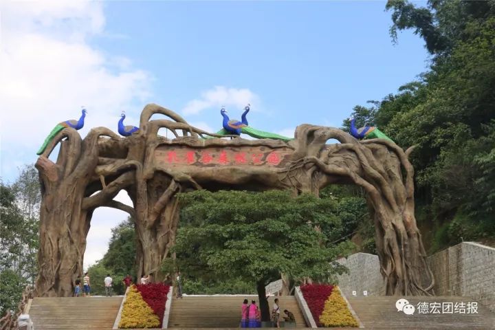 德宏顏值再提升芒市孔雀谷森林公園今日對外開放