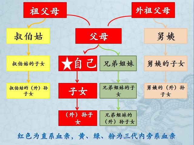 三代以内旁系血亲图解图片