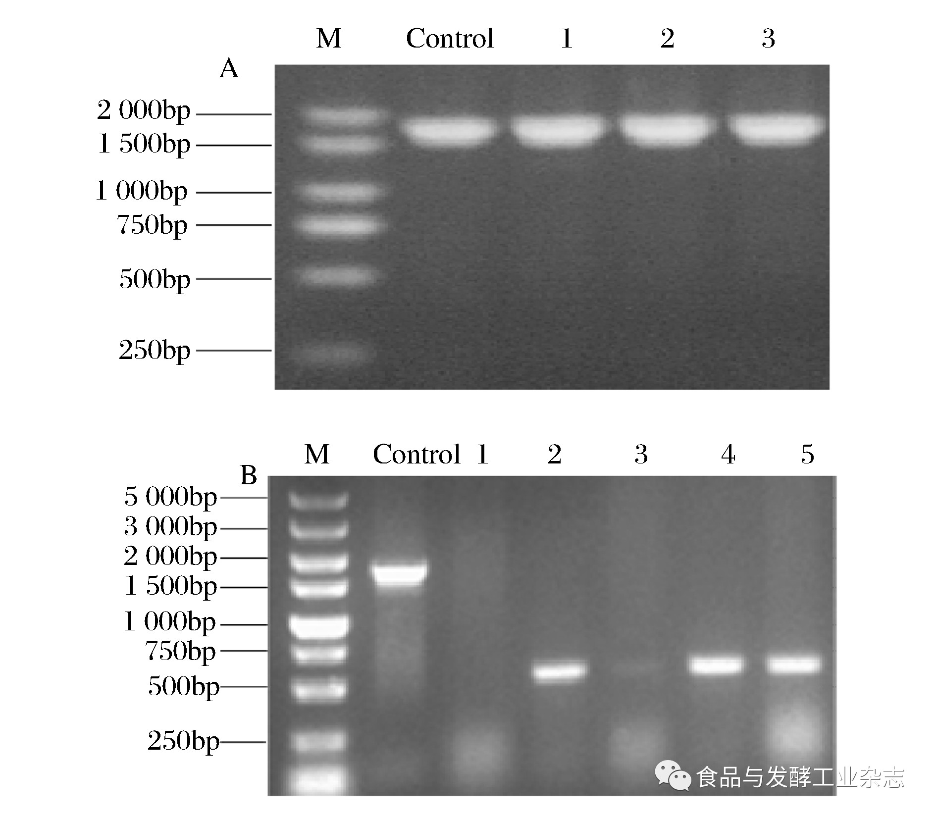 新稿速递┃代谢工程改造escherichiacoli生产3羟基丙酸